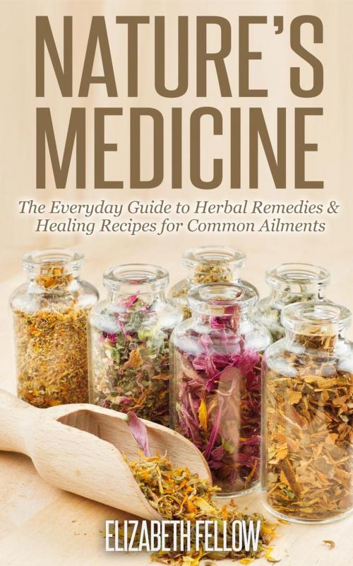 Cover of the book Nature’s Medicine: The Everyday Guide to Herbal Remedies & Healing Recipes for Common Ailments by Elizabeth Fellow, Healthy Wealthy nWise Press