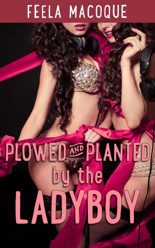 Cover of the book Plowed and Planted by the Ladyboy by Feela Macoque, Feela Macoque