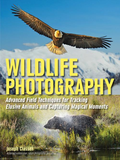 Cover of the book Wildlife Photography by Joseph F. Classen, Amherst Media