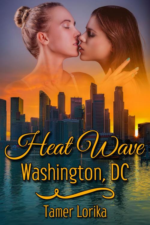 Cover of the book Heat Wave: Washington, DC by Tamer Lorika, JMS Books LLC