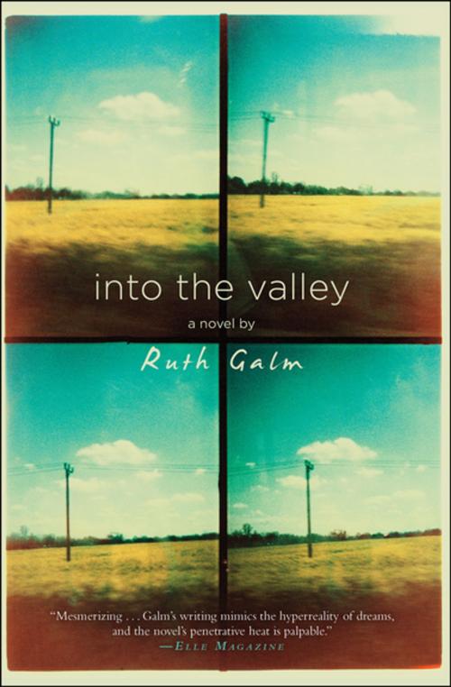 Cover of the book Into the Valley by Ruth Galm, Soho Press