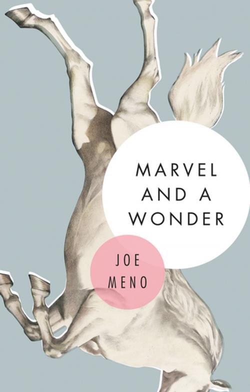 Cover of the book Marvel and a Wonder by Joe Meno, Akashic Books (Ignition)