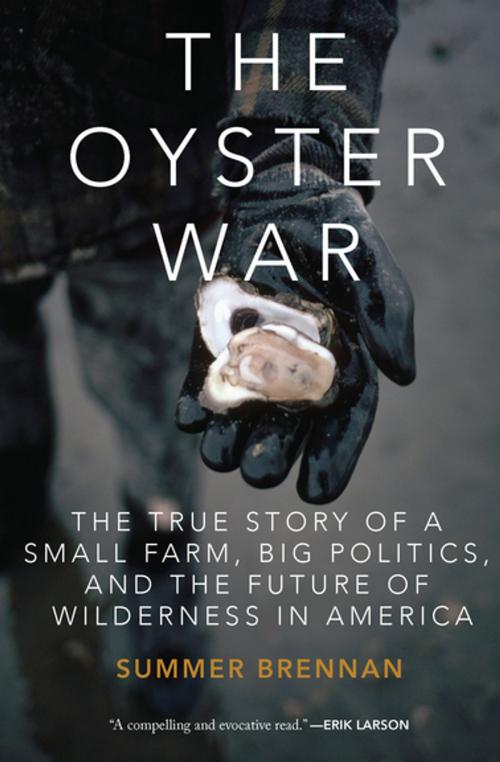 Cover of the book The Oyster War by Summer Brennan, Counterpoint Press
