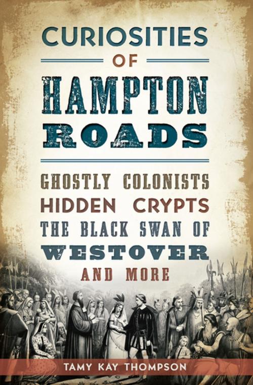 Cover of the book Curiosities of Hampton Roads by Tamy Kay Thompson, Arcadia Publishing