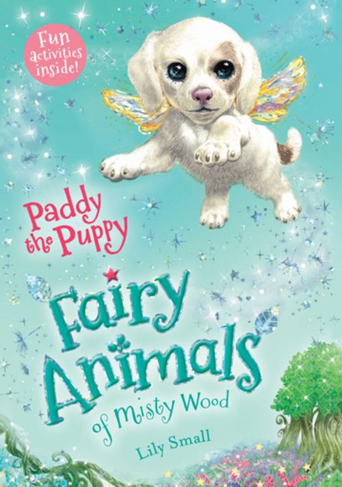 Cover of the book Paddy the Puppy by Lily Small, Henry Holt and Co. (BYR)