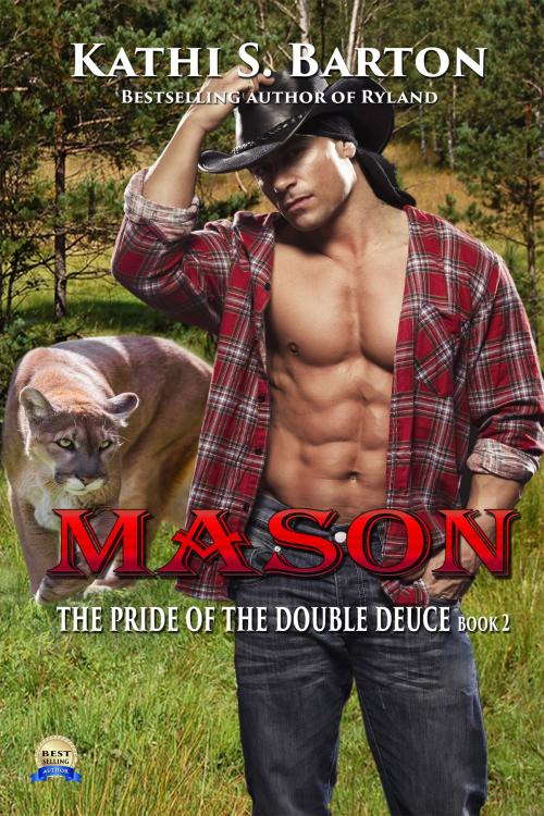 Cover of the book Mason by Kathi S Barton, World Castle Publishing, LLC