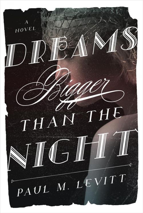 Cover of the book Dreams Bigger Than the Night by Paul M. Levitt, Taylor Trade Publishing