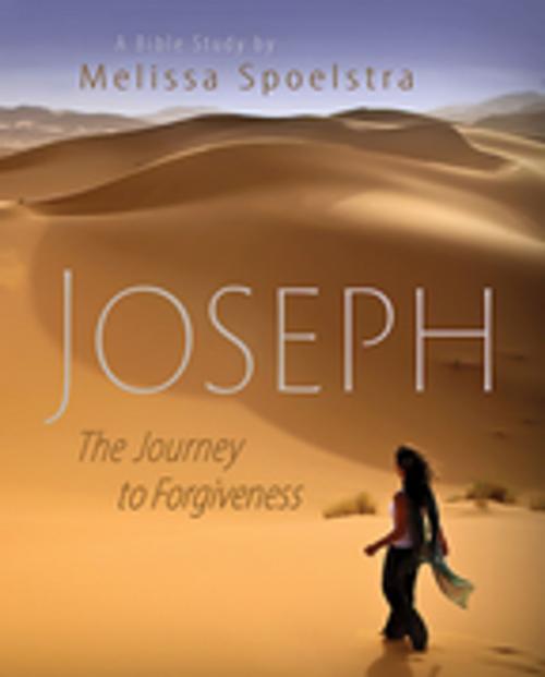 Cover of the book Joseph - Women's Bible Study Participant Book by Melissa Spoelstra, Abingdon Press