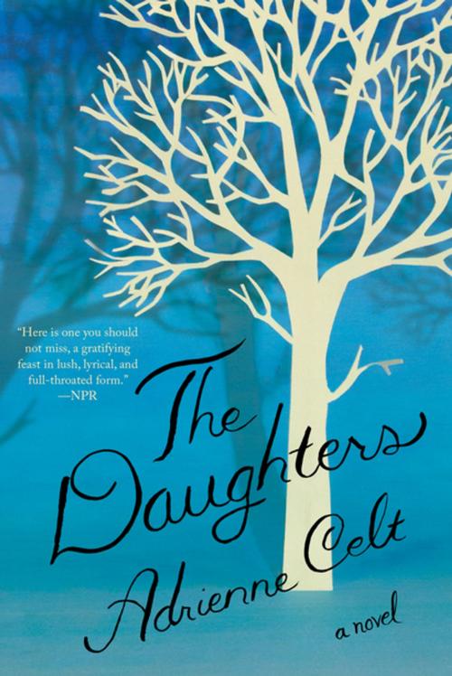 Cover of the book The Daughters: A Novel by Adrienne Celt, Liveright
