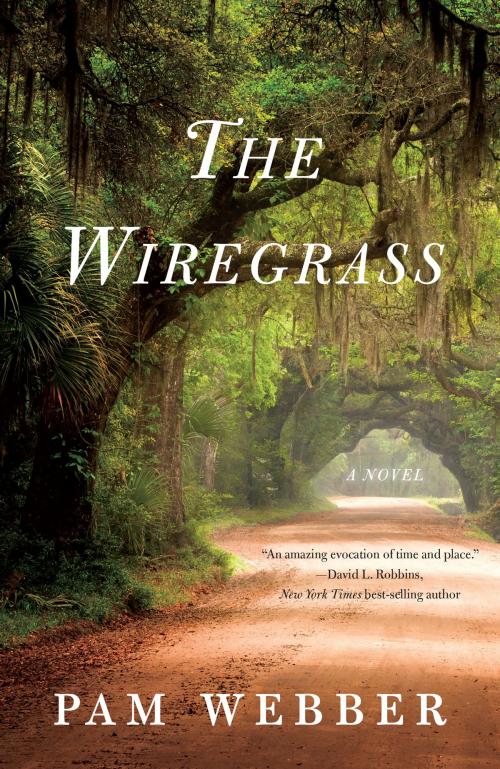 Cover of the book The Wiregrass by Pam Webber, She Writes Press