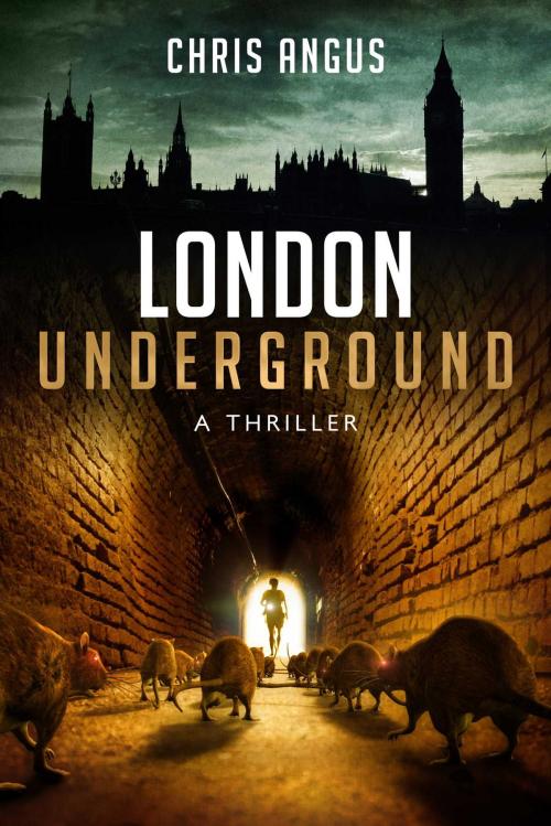 Cover of the book London Underground by Chris Angus, Yucca