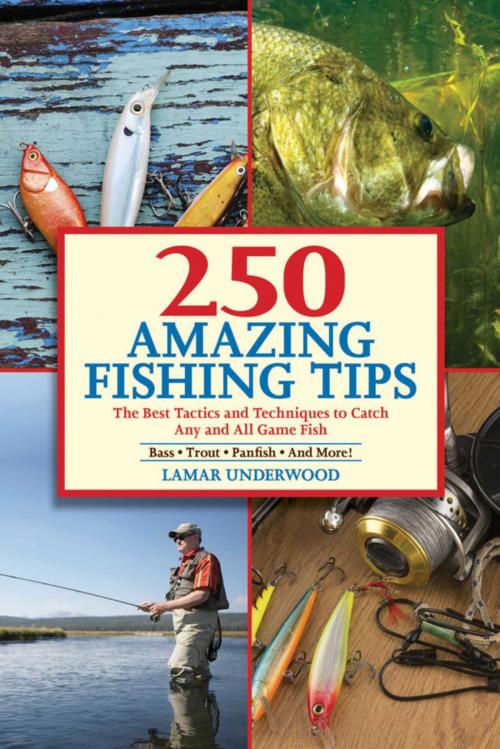 Cover of the book 250 Amazing Fishing Tips by Lamar Underwood, Skyhorse