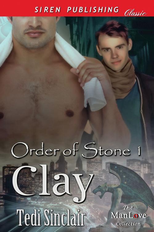 Cover of the book Clay by Tedi Sinclair, Siren-BookStrand