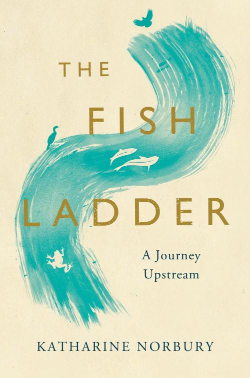 Cover of the book The Fish Ladder by Katharine Norbury, Bloomsbury Publishing