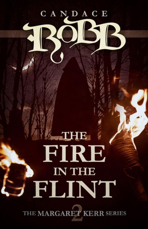 Cover of the book The Fire in the Flint by Candace Robb, Diversion Books