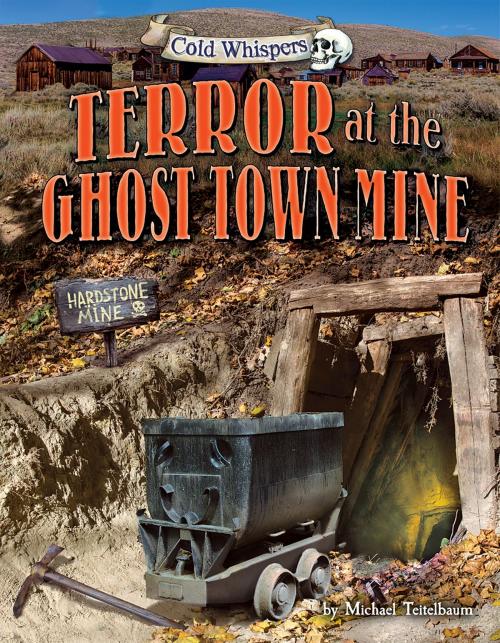 Cover of the book Terror at the Ghost Town Mine by Michael Teitelbaum, Bearport Publishing