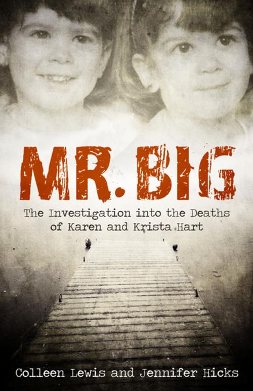 Cover of the book Mr. Big by Colleen Lewis, Jennifer Hicks, Flanker Press
