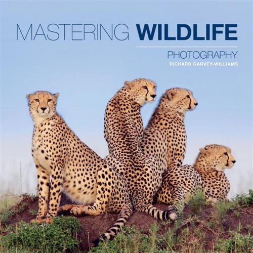 Cover of the book Mastering Wildlife Photography by Richard Garvey-Williams, Ammonite