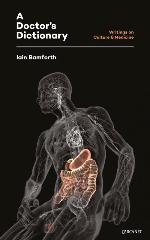 Cover of the book Doctor's Dictionary by Iain Bamforth, Carcanet Press Ltd.
