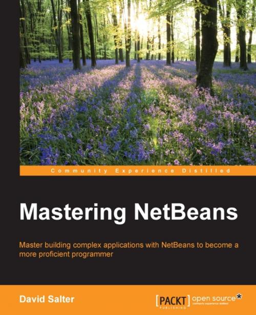 Cover of the book Mastering NetBeans by David Salter, Packt Publishing