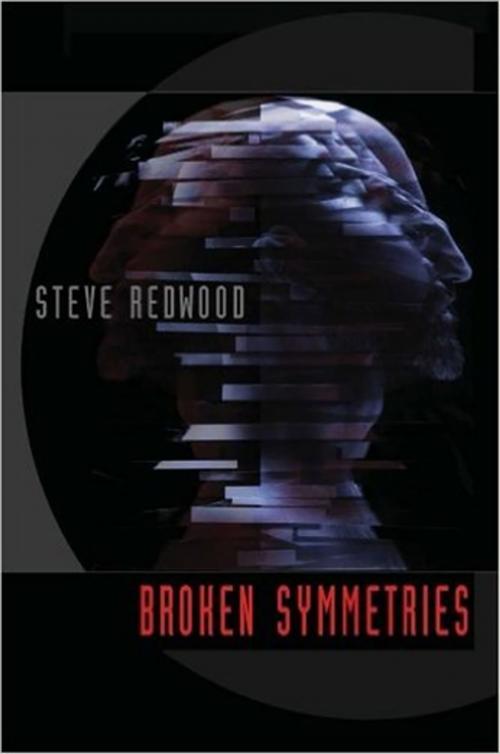 Cover of the book Broken Symmetries by Steve Redwood, Dog Horn Publishing