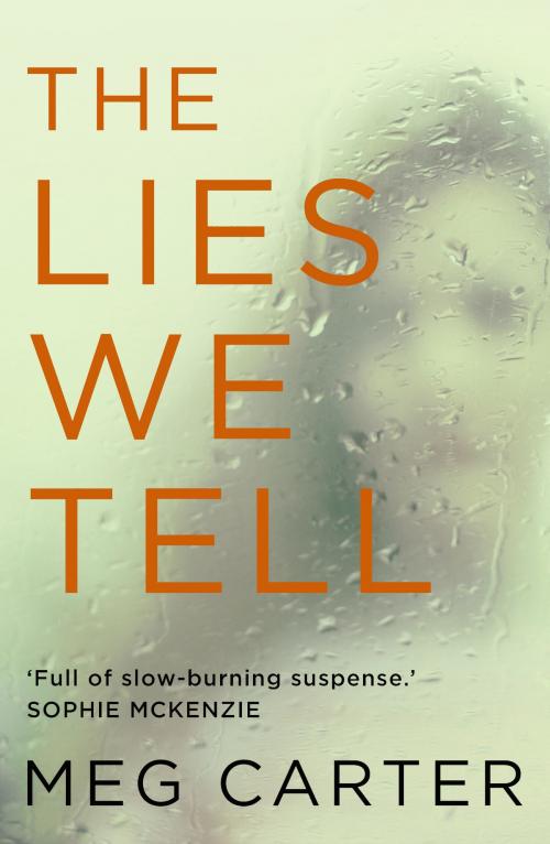 Cover of the book The Lies We Tell by Meg Carter, Canelo