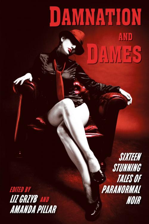Cover of the book Damnation and Dames by Liz Grzyb, Amanda Pillar, Ticonderoga Publications