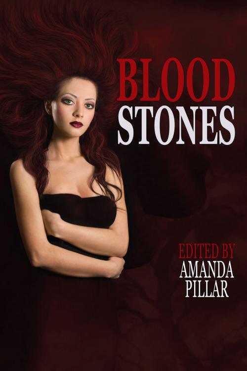 Cover of the book Bloodstones by Amanda Pillar, Ticonderoga Publications