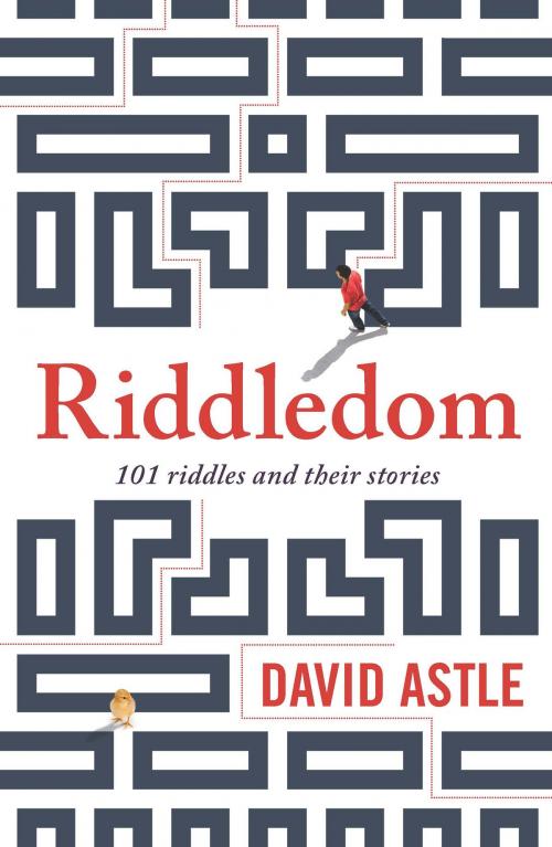 Cover of the book Riddledom by David Astle, Allen & Unwin