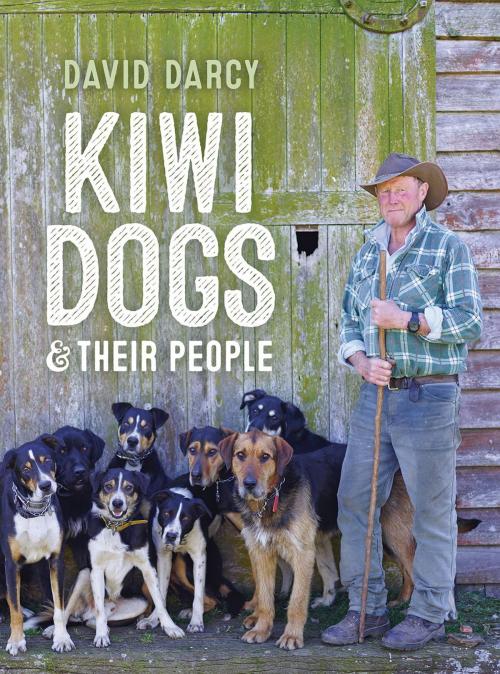 Cover of the book Kiwi Dogs by David Darcy, Allen & Unwin