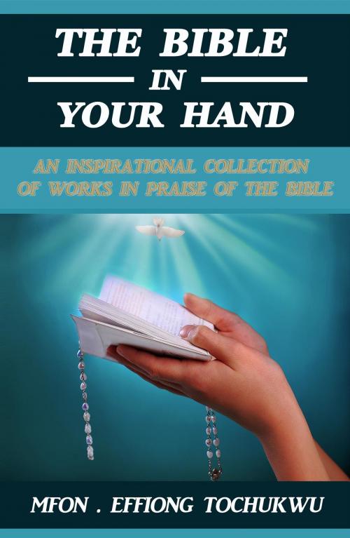 Cover of the book The Bible in Your Hand by Mfon Effiong Tochukwu, Smithfield Park Enterprises Pty Ltd T/A Dreamstone