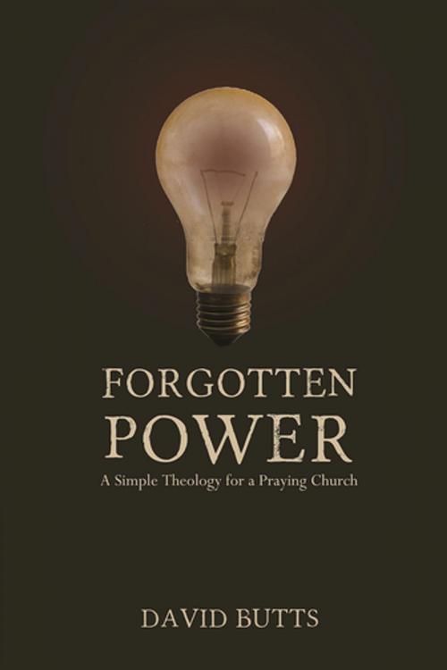 Cover of the book Forgotten Power by David Butts, Made For Success Publishing