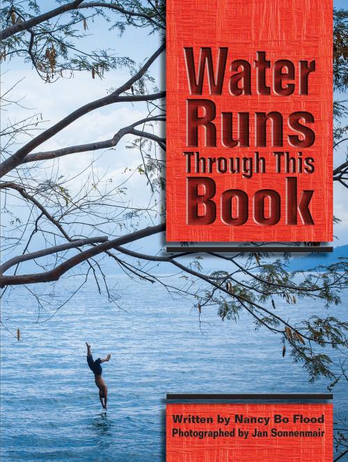 Cover of the book Water Runs Through This Book by Jan Sonnenmair, Nancy Bo Flood, Fulcrum Publishing