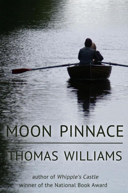 Cover of the book The Moon Pinnace by Thomas Williams, Dzanc Books