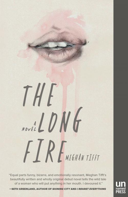 Cover of the book The Long Fire by Meghan Tifft, The Unnamed Press