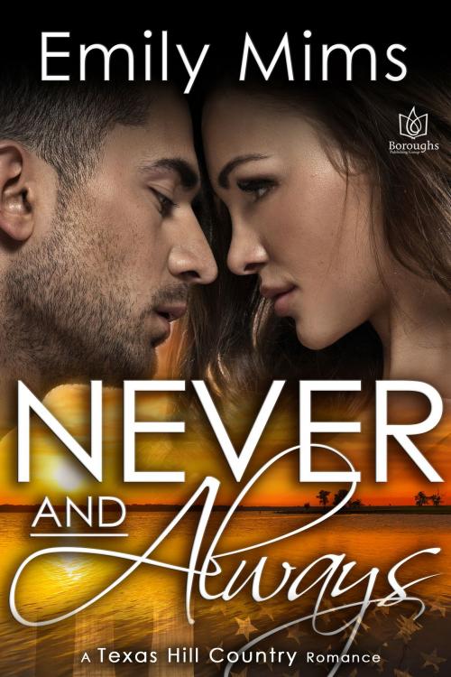Cover of the book Never and Always by Emily Mims, Boroughs Publishing Group