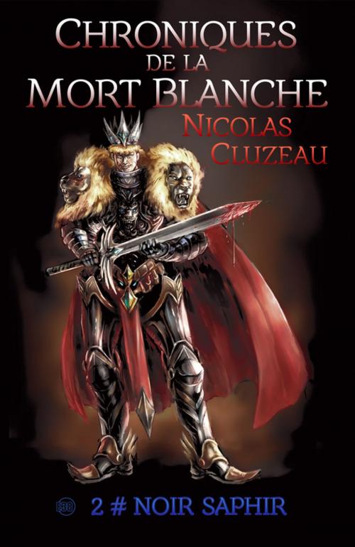 Cover of the book Noir saphir by Nicolas Cluzeau, Les éditions du 38