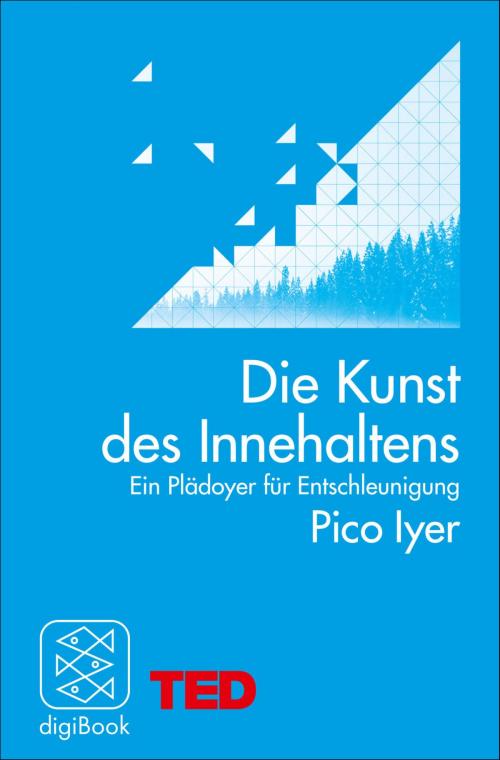 Cover of the book Die Kunst des Innehaltens by Pico Iyer, FISCHER digiBook