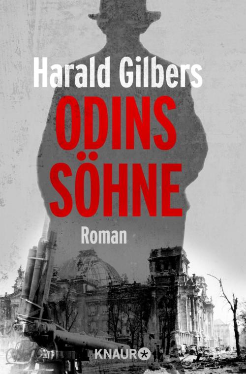 Cover of the book Odins Söhne by Harald Gilbers, Knaur eBook