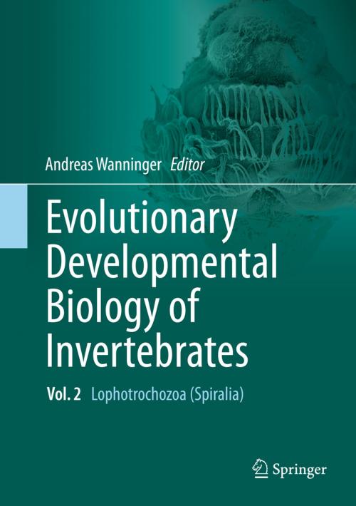 Cover of the book Evolutionary Developmental Biology of Invertebrates 2 by , Springer Vienna