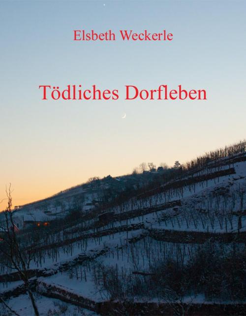 Cover of the book Tödliches Dorfleben by Elsbeth Weckerle, epubli