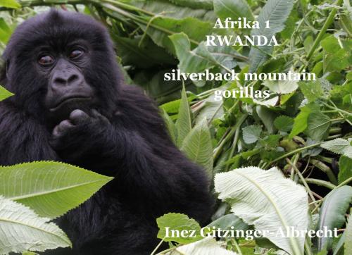 Cover of the book Afrika 1 Ruanda by Inez Gitzinger-Albrecht, Books on Demand