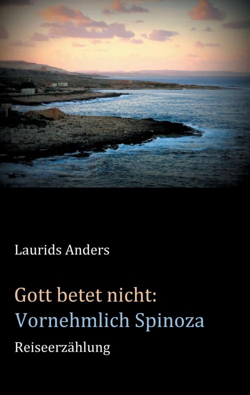 Cover of the book Gott betet nicht: Vornehmlich Spinoza by Laurids Anders, Books on Demand