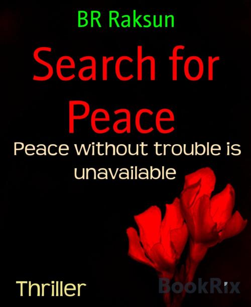 Cover of the book Search for Peace by BR Raksun, BookRix