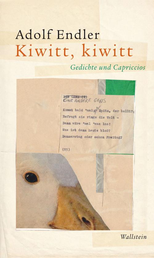 Cover of the book Kiwitt, kiwitt by Adolf Endler, Wallstein Verlag