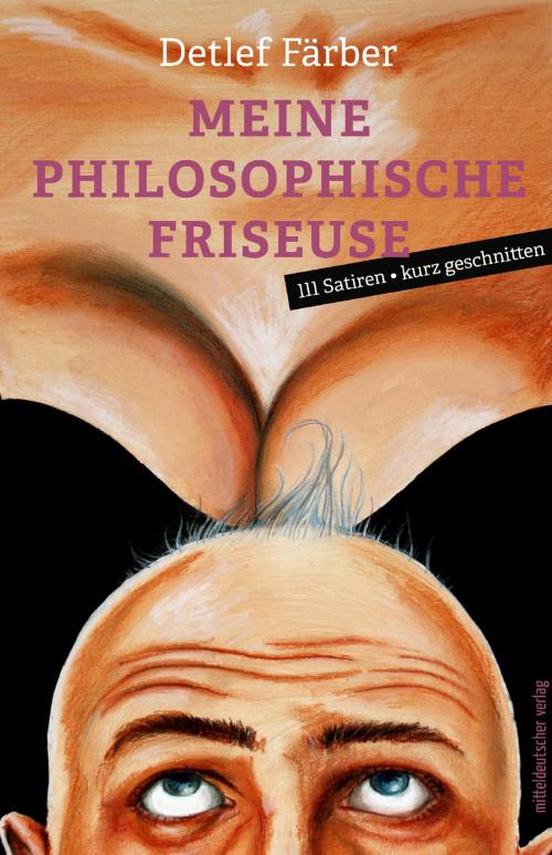 Cover of the book Meine philosophische Friseuse by Detlef Färber, Mitteldeutscher Verlag