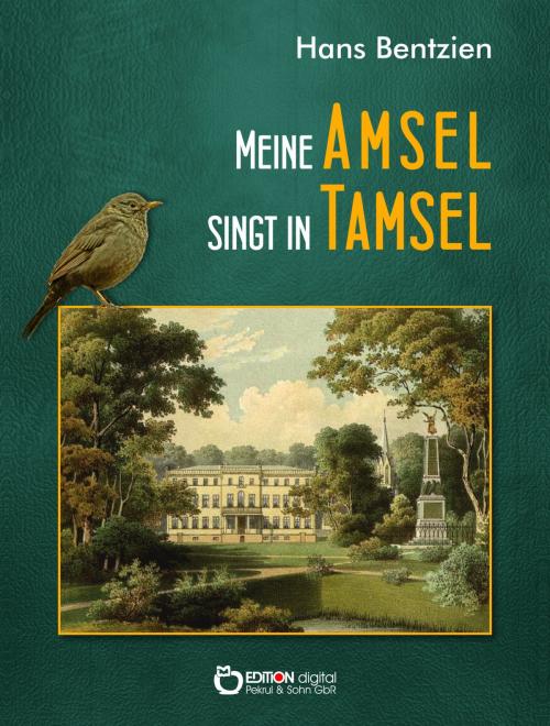 Cover of the book Meine Amsel singt in Tamsel by Hans Bentzien, EDITION digital