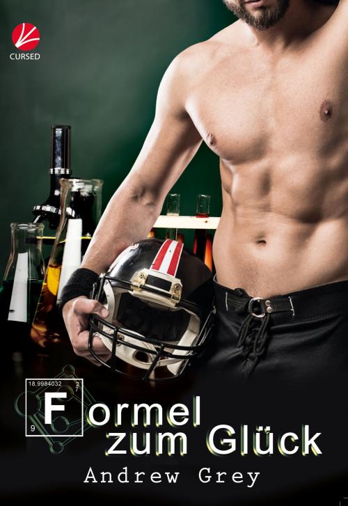 Cover of the book Formel zum Glück by Andrew Grey, Cursed Verlag