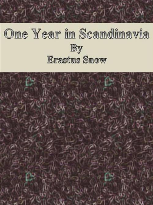 Cover of the book One Year in Scandinavia by Erastus Snow, Erastus Snow