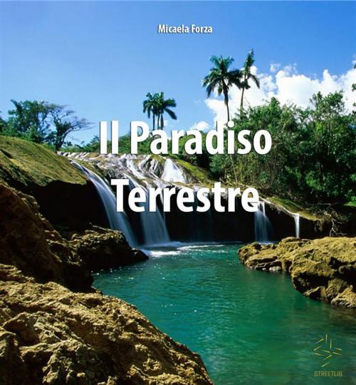 Cover of the book Il Paradiso Terrestre by Micaela Forza, Micaela Forza